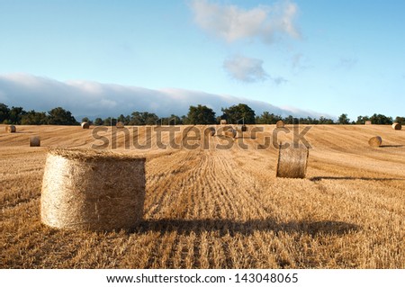Bales of straw in the wheat fields, Burgos, Spain