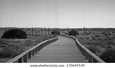 Wooden path in the dunes. Algarve, Portugal