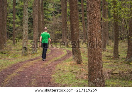 Young man walking in a path in a pine forest in autumn