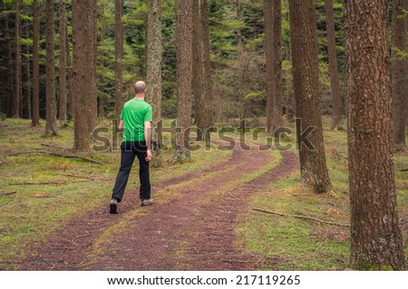 Young man walking in a path in a pine forest in autumn
