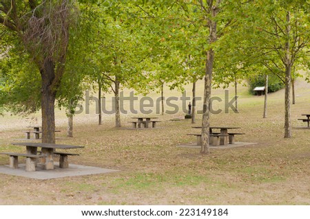 Picnic area. Trees, tables and barbacues in the park