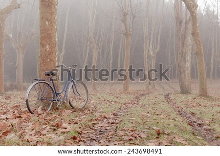 Vintage bicycle in the forest, surrounded by the morning fog