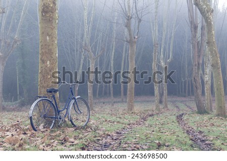 Vintage bicycle in the forest, surrounded by the morning fog