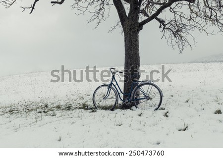 Vintage or retro bicycle left on a tree. Snowy field