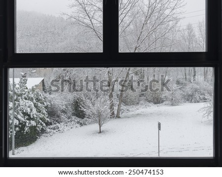 Park and trees covered by the snow, seen outside the window
