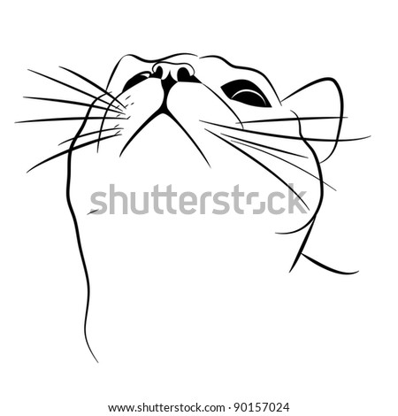 cats face outline