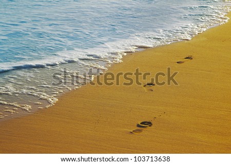 Footsteps on the sand and wave, caribbean coast