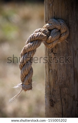 A rope running through a post in knotted and tight to prevent unraveling. This could be used to represent the male member.