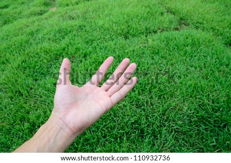 Hand above green grass field in relaxed feeling.
