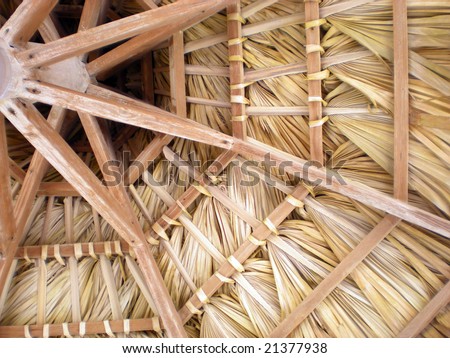View from underneath the palapas. Tropical construction - detail of palm-leaf roofing.