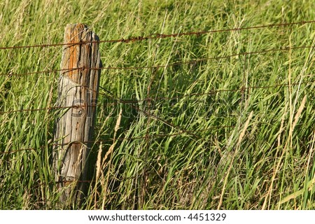 Old fence post and wire fence in grass field