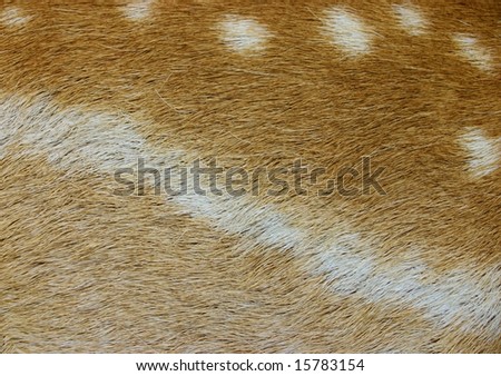 Beautiful abstract animal skin background texture
