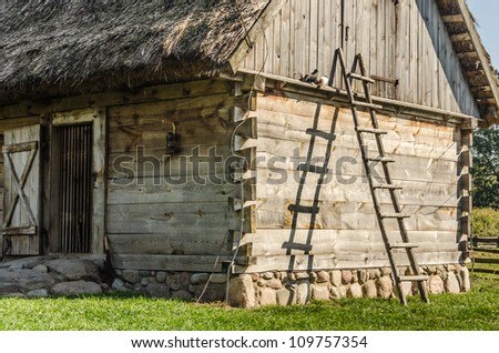 Wooden ladder leaning on a hut in the country