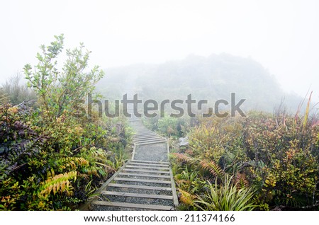 A foggy path in the mountains