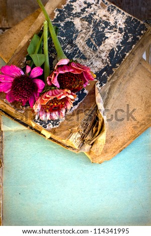 picture of a flowers lying on an antique book/Flowers on vintage wood background with blank/romantic vintage background with dry rose and blank page