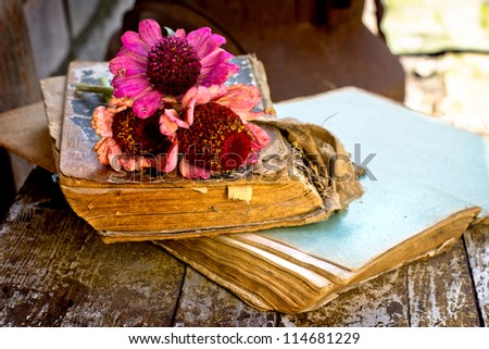 picture of a flowers lying on an antique books/Flowers on vintage wood background with blank/romantic vintage background with dry rose and blank page