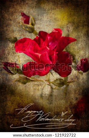 Old grunge vintage postcard with beautiful flower/Flower Card/Beautiful rose with buds/Valentines day card