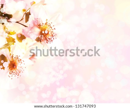 Beautiful summer  background with pink flowers and bluers/Summer border background with pink blossom