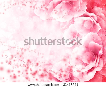 Abstract pink  flower card/ Beautiful flower background/ Spring background