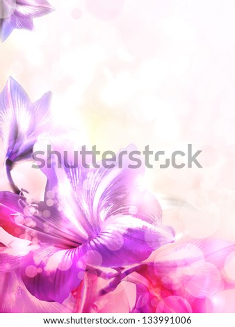 Abstract pink flower card/ Beautiful flower background/ Spring background