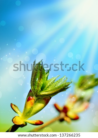 Leaves bud on the abstract  background with light specks/spring background with green buds