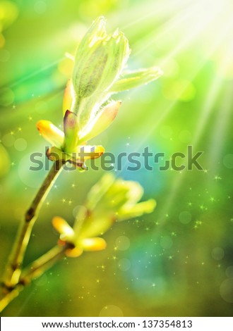 Leaves bud on the abstract green background with light specks/spring background with green buds