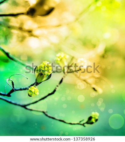 Leaves bud on the abstract green background with light specks/spring background with green buds