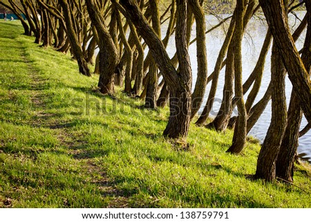Beautiful spring colors in  park with lake/ landscape with  spring trees