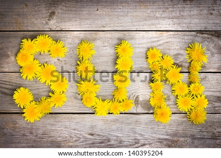 Summer background with  yellow dandelions /dandelions on a aged wooden background/Dandelions on wood with copy space