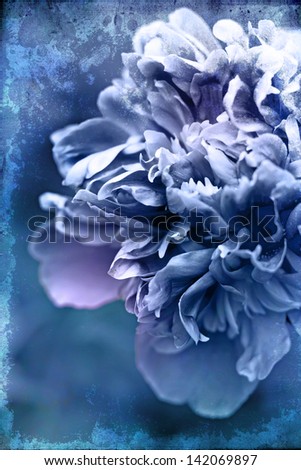 Vintage flower (peony)/ Beautiful peony flowers in retro vintage style on textured background