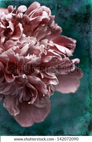 Vintage flower (peony)/ Beautiful peony flowers in retro vintage style on textured background