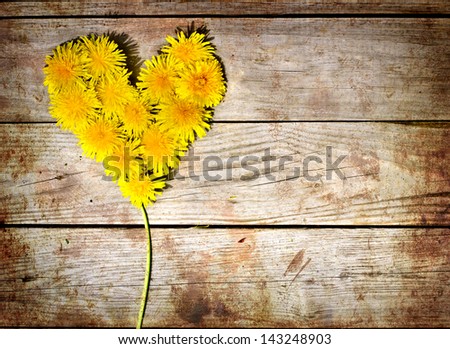 Summer background with yellow dandelions /Heart from dandelions on a aged wooden background/Dandelions on wood with copy space