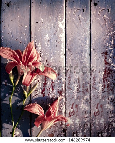 Retro Flowers/flower background with orange flowers on grunge texture