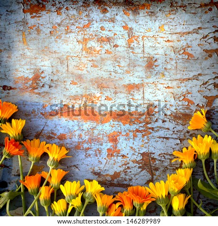 Colorful Retro Flowers/flower background with orange flowers on grunge texture