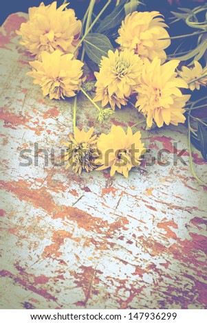 Colorful Retro Flowers/flower background with orange flowers on grunge texture