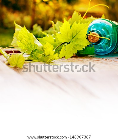 wine bottle with young vine  green/ summer wine background