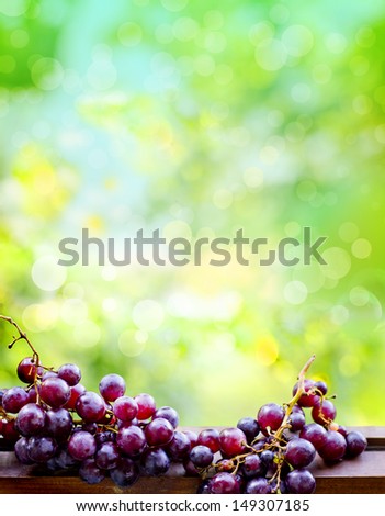 assortment of ripe sweet grapes in basket on sunny background/Grapes in the basket/ Summer Wine Season
