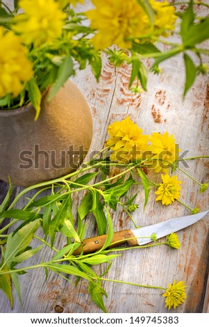 cut bouquet of flowers with a knife  outdoor/ flowers in a jug