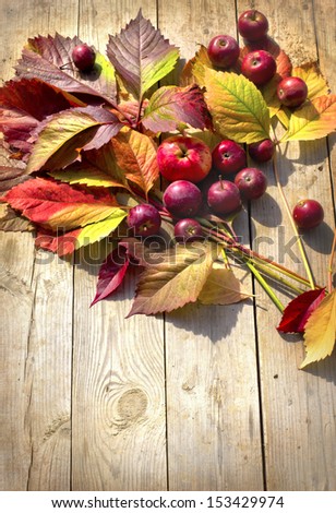 Autumn border from apples and fallen leaves on old wooden table/ Thanksgiving day concept/background with apples