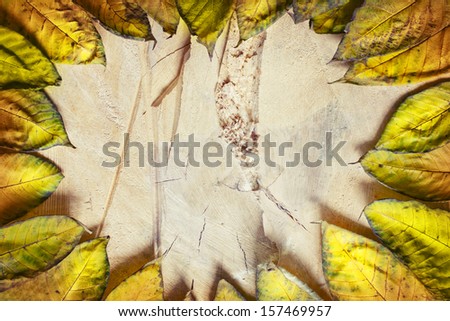 Autumn Leaves over wooden background.With copy space/autumn frame with yellow leaves