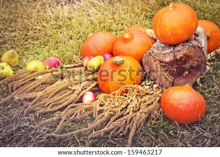 Autumn concept with seasonal vegetables/ organic food background; Autumn harvest with Farmers Vegetable/Thanksgiving day concept