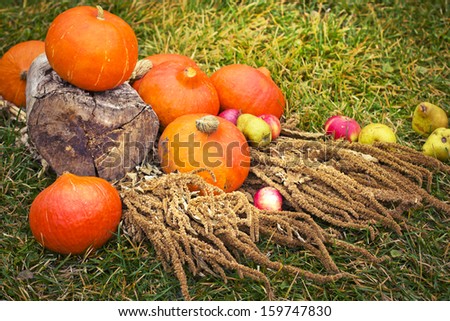 Autumn concept with seasonal vegetables/ organic food background; Autumn harvest with Farmers Vegetable/Thanksgiving day concept