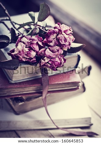 Dry rose on an old book/ Vintage Books and Roses