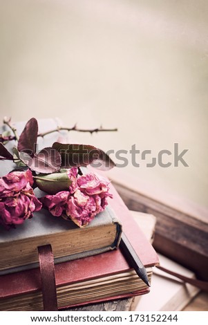 Dry Rose On An Old Book/ Vintage Books And Roses