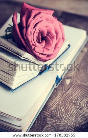 Soft natural light falling onto a rose with a books.Romantic nostalgic background with rose