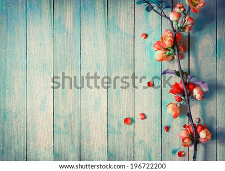 Spring Blossom over wood background. Spring Flowers on wooden background