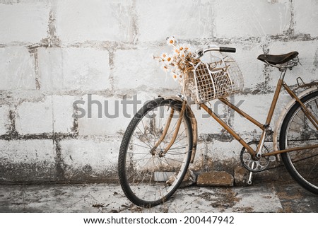 vintage bicycle on vintage house wall