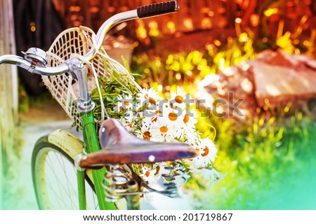 Vintage Bike HandleBar with flowers and Colorful Background Bokeh /summer background with bicycle (toned picture)