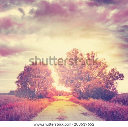 beautiful country landscape  with road in sunset