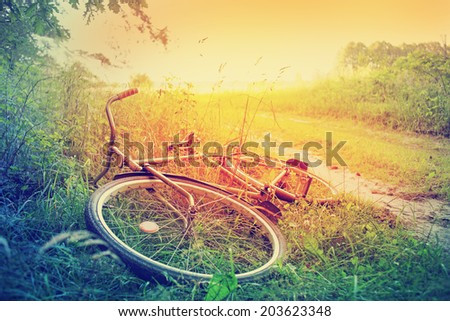 Summer background with beautiful vintage landscape and Bicycle at sunset/ toned image